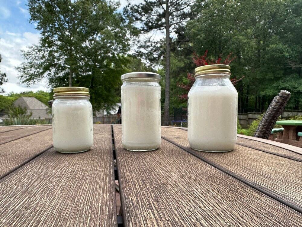 Unscented Grass-Fed Beef Tallow | 2 Pounds | Lady May Tallow